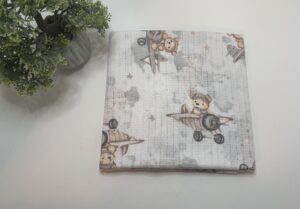 Merliukai “meškiukas lėktuve”