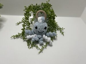 Kramtukas-žaislas “aštuonkojis”